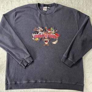 Looney Tunes Warner Bros Character Fleece Sweatshirt Size XXL 1999 Taz Tweety